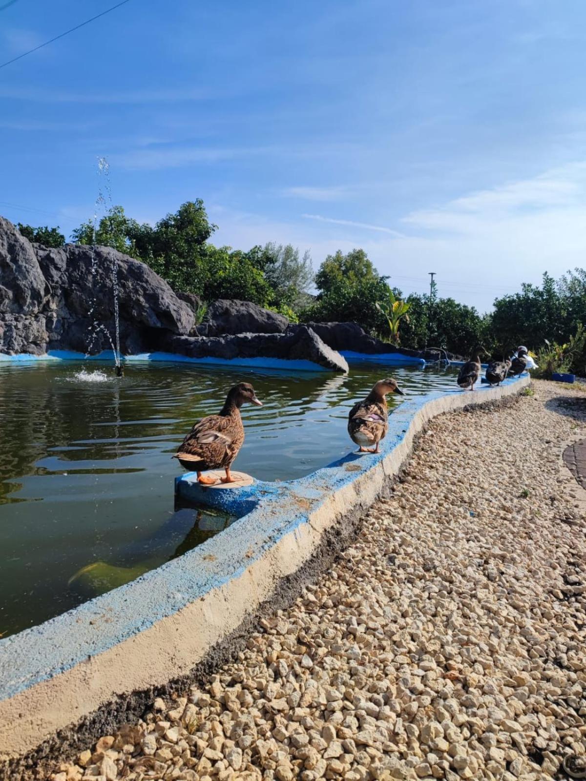Don Vittorio Country Village ทรัปปิเตลโล ภายนอก รูปภาพ